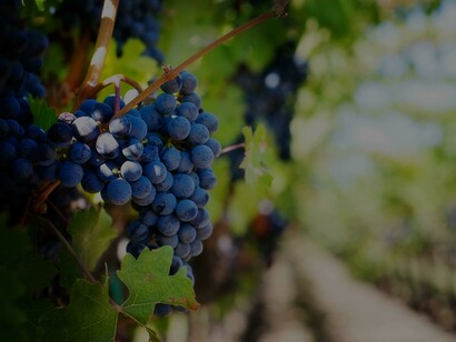 Seu ingrediente principal é o arrobe, um mosto de uva concentrado, ao qual se adicionam frutas da época em partes iguais