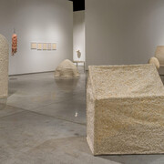 Richi Bhatia, Antevasin, the one who sits at the border of two worlds, exhibition view. Courtesy of Gallery Isabelle Van Den Eynde