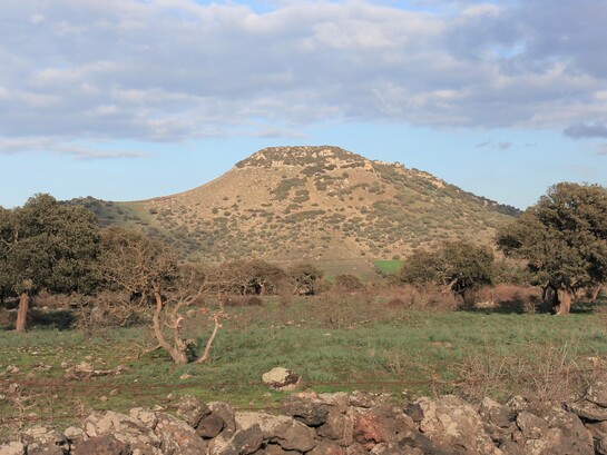 La sua vera fortuna era stata capire fin da subito quale fosse la direzione da seguire, restando fedele a quella luce interiore senza smarrirla mai