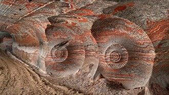 Anthropocene
