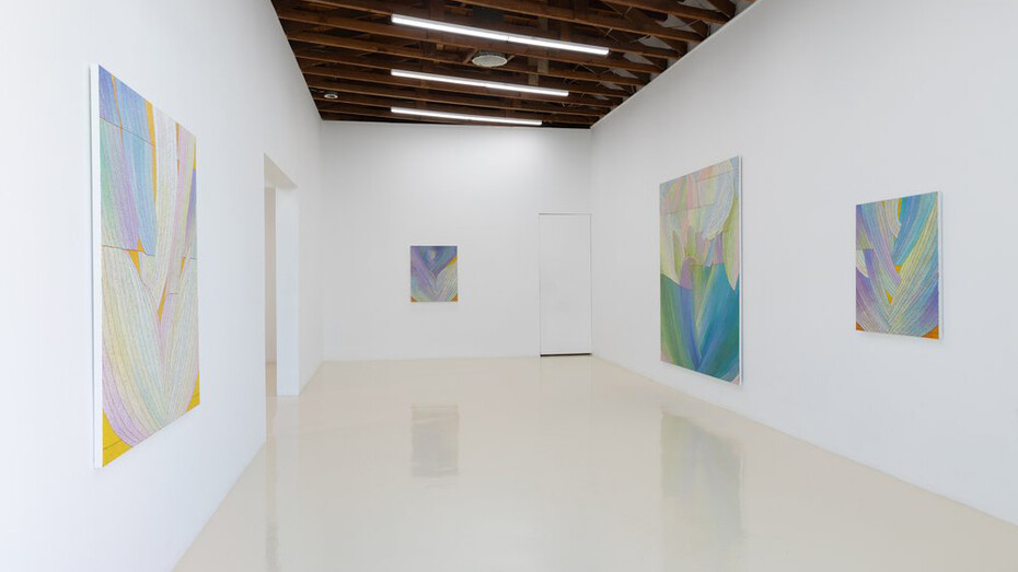 Tyler Vlahovich, The real story, exhibition view. Courtesy of Chris Sharp Gallery