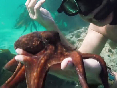 "My octopus teacher" (Il mio amico in fondo al mare). C'è molto da imparare osservando la vita dei polpi