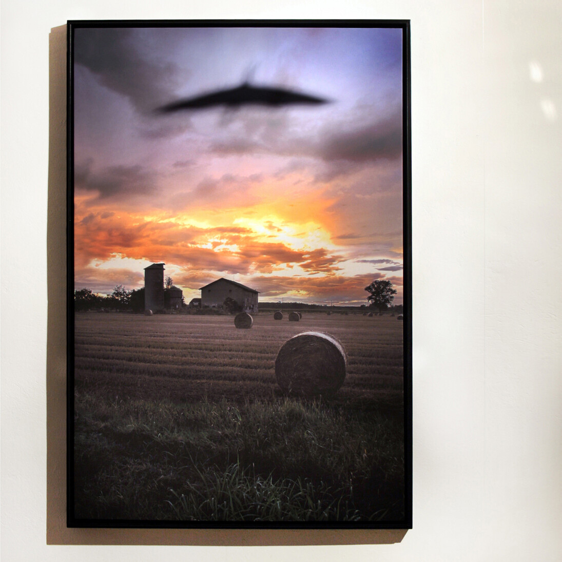 Pietro Iori, Casa blindata, 2011