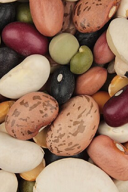 Beans pinto, small white, small reds, pink, red kidney, great northern, baby lima, large lima, black, peas green split, blackeye, whole green, yellow split, chick lentils and barley 