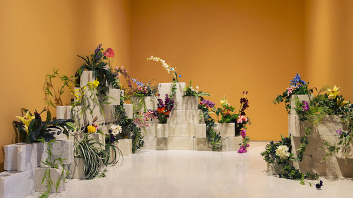 Carlos Rolón. Courtesy of NOMA
