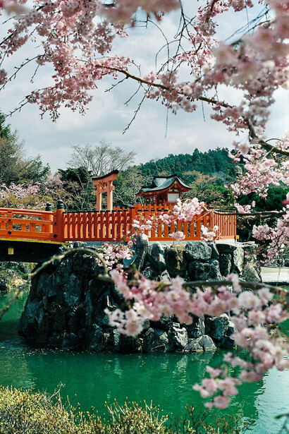 Uno de los puentes más icónicos de Osaka, Japón, que conduce a un templo shintoísta tradicional