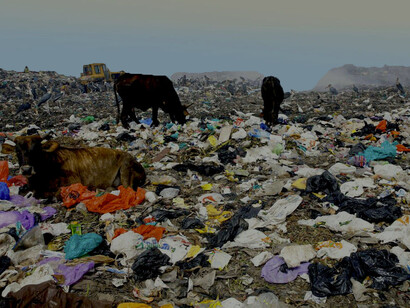 Improper disposal of plastic bags contributes enormously to pollution