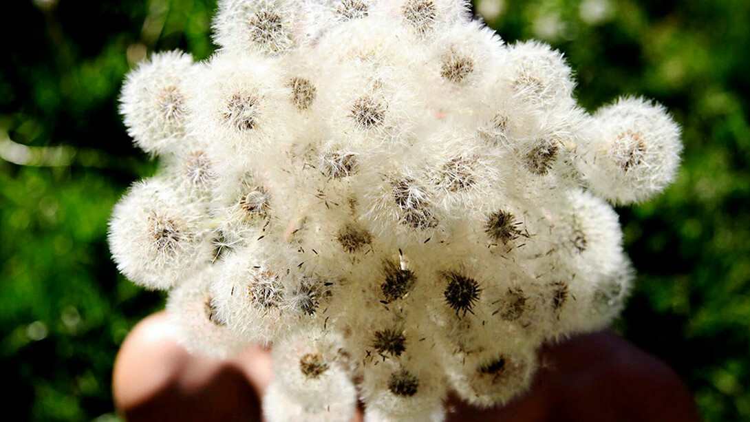 Besides colonisation. Courtesy of © Galería José de la Fuente