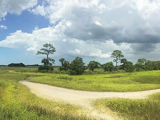 Here, freedom seekers found refuge under Spanish protection, reshaping the history of resistance