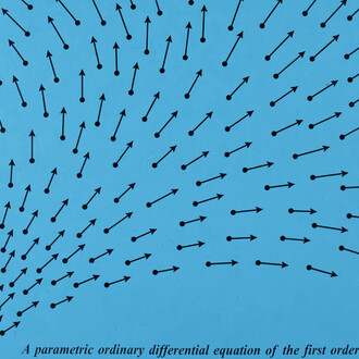 Bernar Venet, Related to: parametric ordinary differential equation of the first order in two dimensions (detail), 2000. Courtesy of Art Museum Riga Bourse