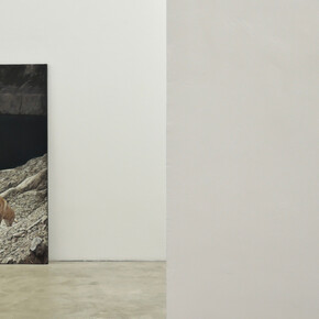 Cristina Megía, Hacer pie en la tierra, vista de exhibición. Cortesía de Galería silvestre