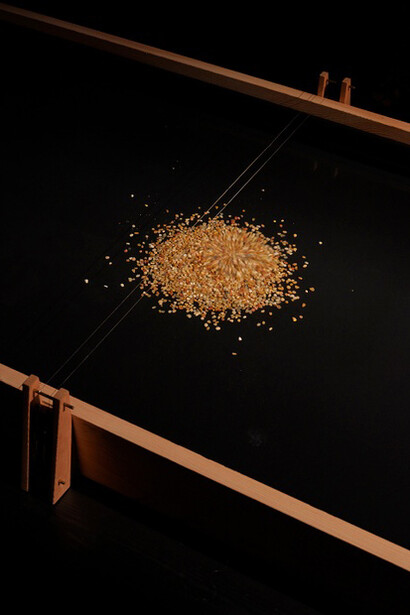 Contemporary Focus: Mineko Grimmer. Courtesy of Menil