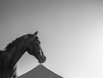 Shaun Gladwell. Courtesy of Tel Aviv Museum of Art