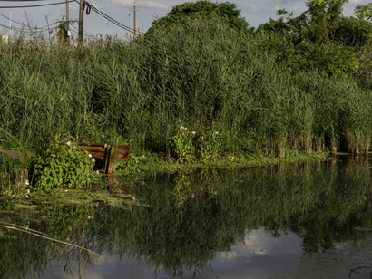 The Unseen Meadowlands. Courtesy of Soho Photo Gallery
