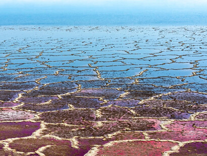 Diane Tuft, Silent Sea (detail), 2024. Courtesy of Leila Heller Gallery