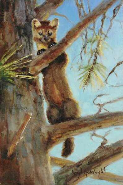 Wildlife Discovery 2019. Courtesy of Trailside Galleries