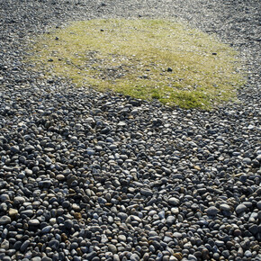 Manuela Marques, Sans titre, 2015, impression pigmentaire sur papier RC, 63 x 95 cm, courtesy of galerie anne barrault
