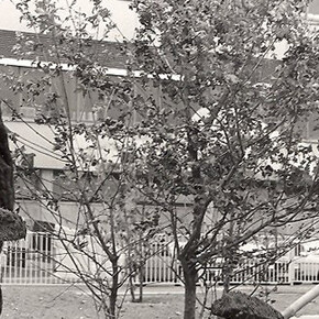 Ecological Commitment. Courtesy of Kunst Haus Wien 