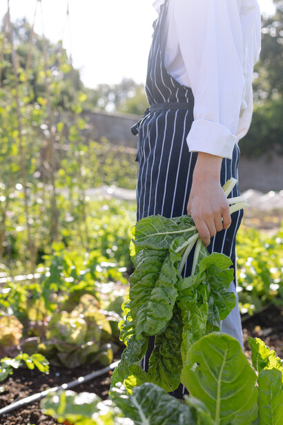 Vegetables cut fresh from the kitchen garden at Water Lane by Maria Bell Photography