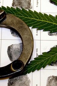 Legalization of Drugs