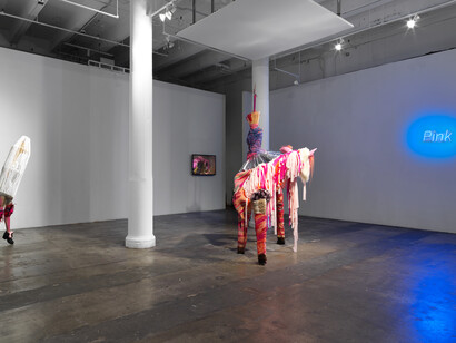 Tamar Ettun "Pink Eat Owl", installation shot. Image courtesy of the artist and Fridman Gallery, New York