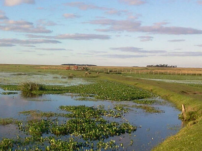 Reserva que forma parte del Parque Nacional Iberá, uno de los últimos que se establecieron en el territorio nacional, “Reserva Natural Silvestre Cambyretá”, ubicada en la provincia de Corrientes