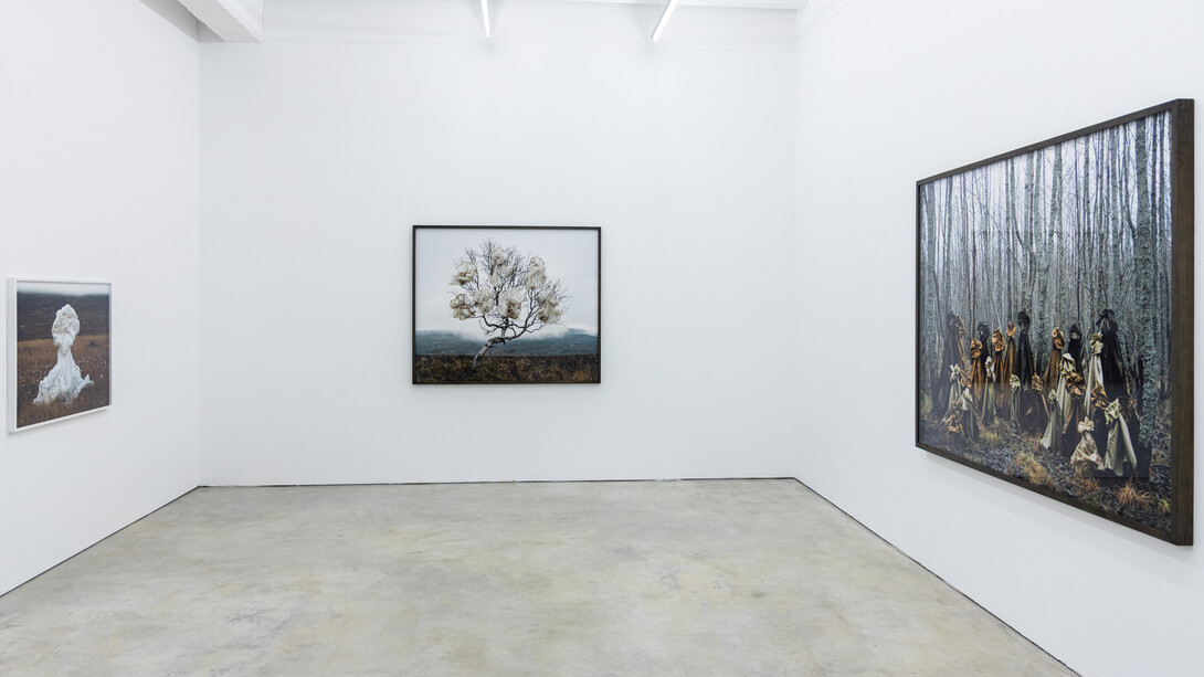 Riitta Päiväläinen, Phantasma, exhibition view. Courtesy of Persons Projects