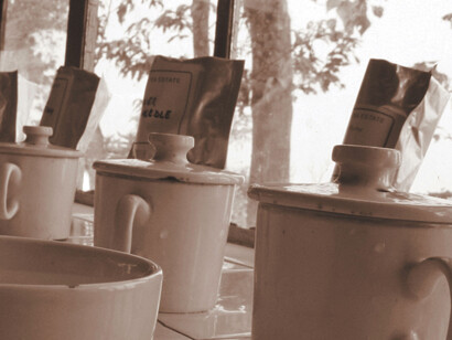 Tea Tasting