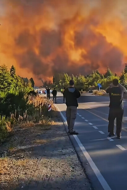 Los incendios han impactado gravemente la economía local, afectando el turismo, la producción y la infraestructura de las comunidades afectadas