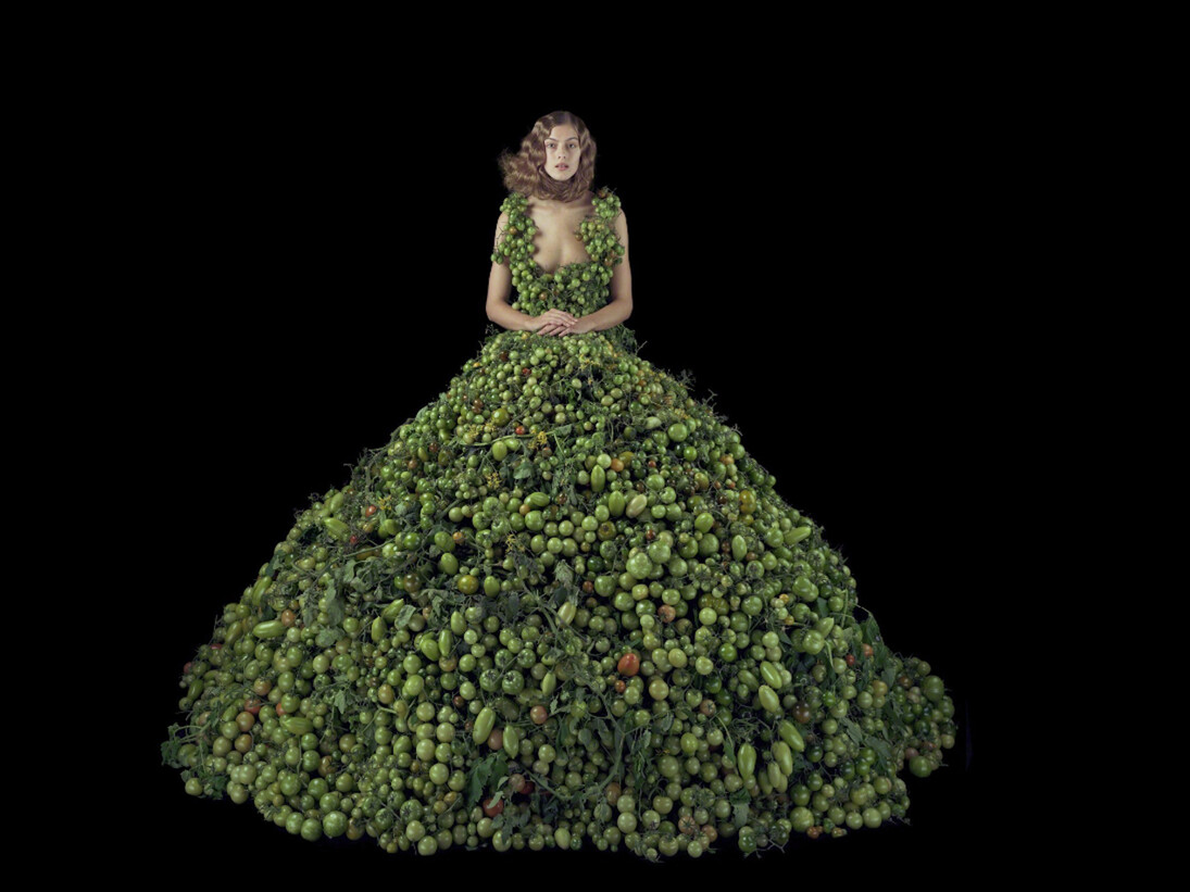 Nathalia Edenmont, Late Bloomer, 2016. Courtesy of Nancy Hoffman Gallery