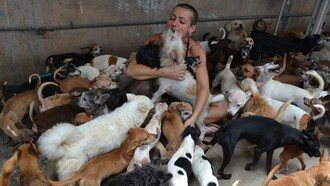 Mujer rodeada de mascotas que han sido abandonadas por sus dueños