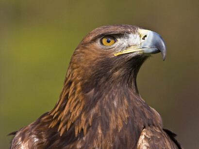López y su partido olvidan detalles que hacen de este tipo de soberanía peligrosa