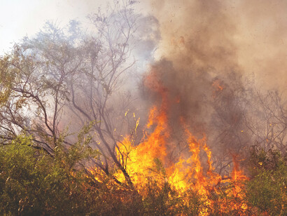 Wildfire raging in Demre, Türkiye, intensified by drought and climate stress