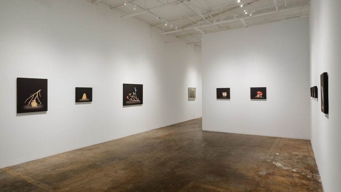 Isabelle du Toit, Vivarium, exhibition view. Courtesy of Cris Worley Fine Arts
