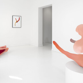 Teresa Solar Abboud, Tu sombra sustituida, exhibition view. Courtesy of Travesía Cuatro  Gallery