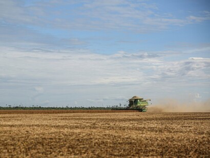 Um trator participa da colheita de soja em uma extensa área agrícola de Paragominas, no Pará. Para o produtor, acompanhar as previsões climáticas e ajustar o calendário das operações pode ser decisivo para preservar a produtividade
