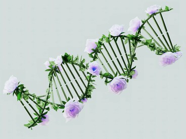 A DNA molecule flourishing with flowers , representing the balance between genetic code and epigenetic control