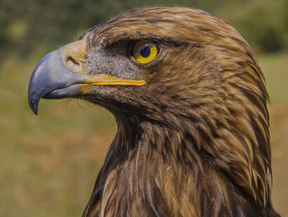 En segundo lugar, cuando un Estado se hace de recursos de la extracción de materias primas y no de los impuestos de sus ciudadanos no tiene los incentivos para trabajar por la educación, salud y libertad de estos