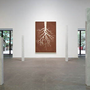 Claudia Comte, Lost in the forest, exhibition view. Courtesy of OMR Gallery