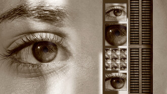 A view of the eyes in several different forms, to show perception of things