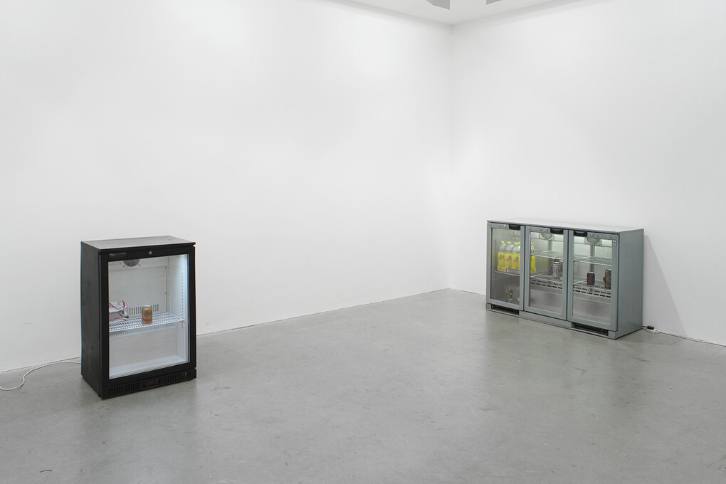 Gili Tal, Vilma Gold, 2015, installation view, courtesy Vilma Gold, London