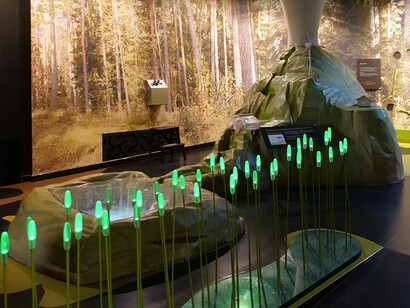 Humans and the environment, exhibition view. Courtesy of the Latvian National Museum of Natural History