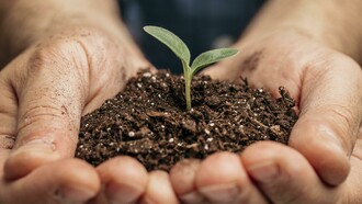 Planto sonhos porque acredito que eles precisam ser realizados, já não planto mais sonhos que não me interessam, eles, além de ocuparem espaços que poderiam ser mais bem utilizados, ainda ocupam o meu tempo, que merece ser investido em sonhos mais empolgantes, que me fazem lutar por eles com todas as minhas forças