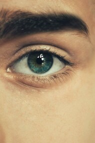 A person with blue eyes. What one sees is what one sees when one perceives what is evidenced