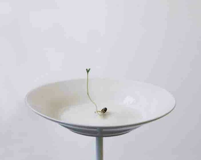 Stéphanie Saadé. Courtesy of Gallery Anne Barrault