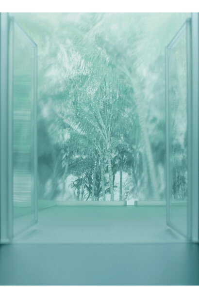 Mayumi Terada, courtyard with coconut tree, 151001p, 2015, 56 x 40 cm, pigment inkjet print