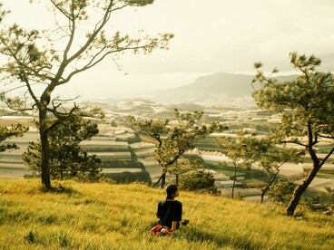 A person resting on a hill between nature and the city, gazing outward in thoughtful silence