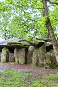 En Bretagne, dans l'ouest de la France, La Roche-aux-Fées est un site mégalithique qui défie le temps