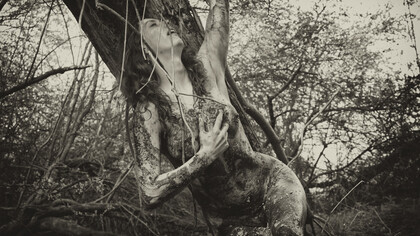 "Todas nós temos anseio pelo que é selvagem" (Clarissa Pinkola Estés)