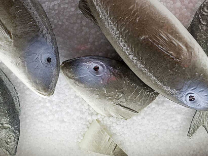 Life on Board. Courtesy of Sjöhistoriska museet